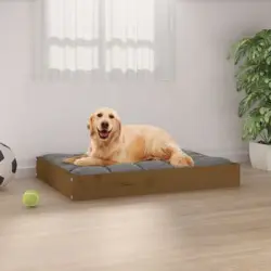Cama Para Perros Madera Maciza Pino Marrón Miel 71,5x54x9 Cm
