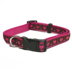 Rosewood Collar Corazón Rosa 45-70cm X 25mm