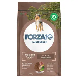 Forza 10 Medium Maintenance cordero y arroz - 12 kg