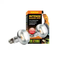 Exo Terra Bombilla de Luz Concentrada Intense Basking 50 W