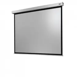 Celexon Electric Professional Plus Pantalla de Proyección Eléctrica 220x165cm