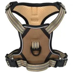 Arnés Para Perros Con Correa Y Collar Ajustable Marrón L
