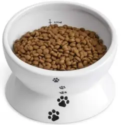 Y Yhy Bol Elevado Para Gatos, Bol Elevado Para Comida De Gato