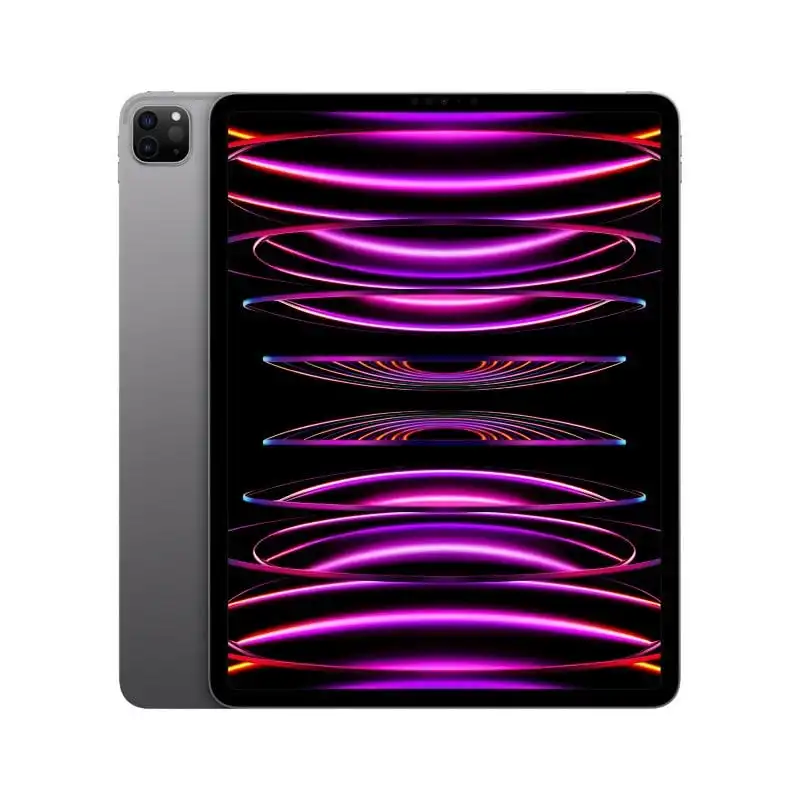 Apple iPad Pro 2022 12.9" WiFi 256GB Gris Espacial