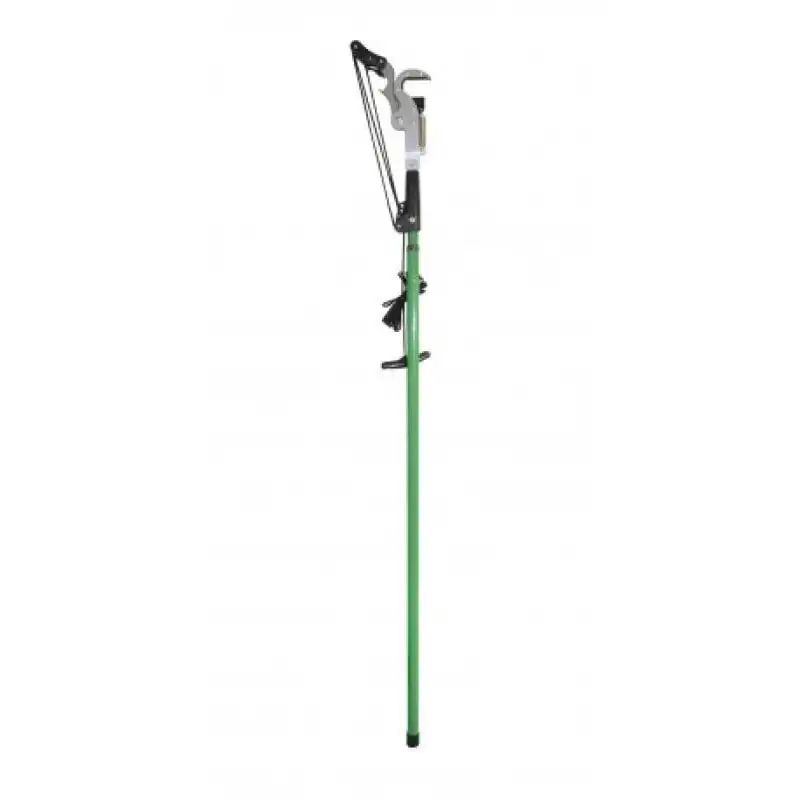 Papillon Cortarramas con Polea Extensible Profesional