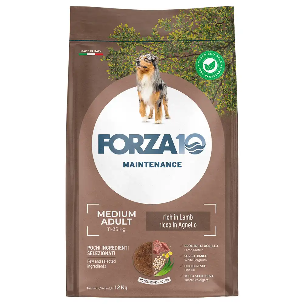 Forza 10 Medium Maintenance cordero y arroz - 12 kg