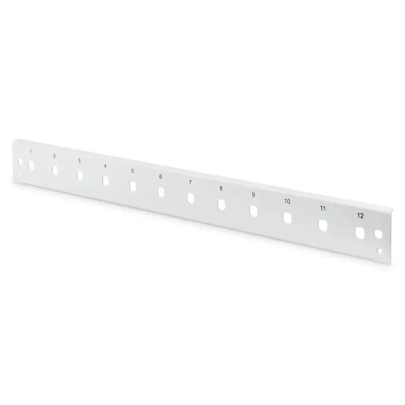 Digitus Panel Frontal Vertical 12 Puertos ST 1U Gris