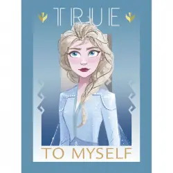 Erik Lámina Disney Frozen True To Myself 40x30cm