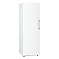 LG - Congelador Vertical No Frost - GFT41SWGSZ