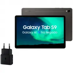 Samsung Galaxy Tab S9 5G 12/256GB Gris + Cargador