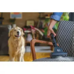 Hoover H-energy 700 He720pet 011 5 L Aspiradora Cilíndrica Secar 850 W Bolsa Para El Polvo