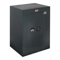 FAC - Caja Fuerte de Sobreponer 107 ES Rasha.
