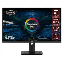 MSI G274QPF-QD 27" Quantum Dot Rapid IPS WQHD 170Hz G-Sync Compatible