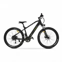 Argento Performance Plus E-Bike Verde 2021