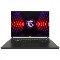 MSI Vector 17 HX A14VHG-689ES Intel Core i9-14900HX/32GB/1TB SSD/RTX 4080/17"