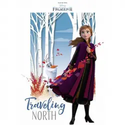 Erik Maxi Póster Disney Frozen Traveling North 91.5x61cm