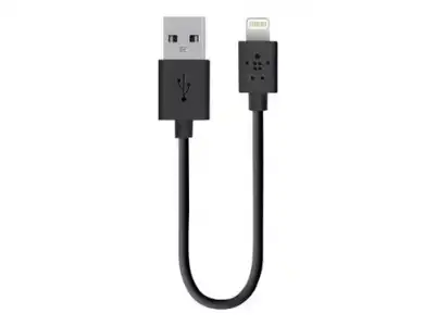 Cable Belkin Lightning a USB 15cm Negro