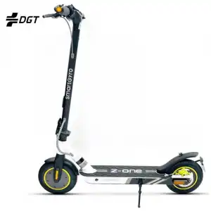 SmartGyro Z-ONE Certificado Patinete Eléctrico 10" 350W Gris