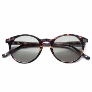 Gafas De Sol De Hombre Lois Castor Habana