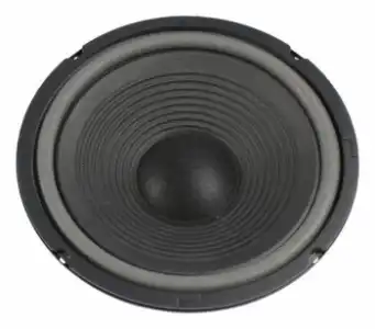 Woofer W250 25 Cm Visaton