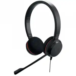 Jabra Evolve 20 Auriculares USB- C Negros