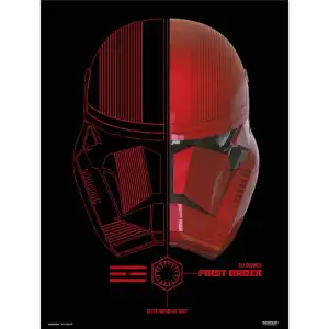 Erik Lámina Star Wars Episodio IX Sith Troopers 40x30cm