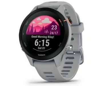 Garmin Forerunner 255s Gray / Smartwatch 41mm