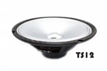 Repuesto Woofer Thundersound 12