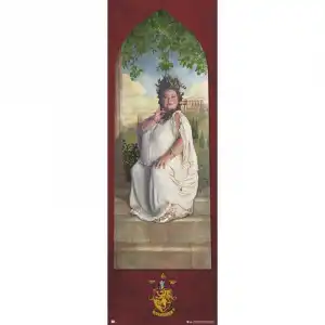 Erik Póster de Puerta Harry Potter Gryffindor Password 158x53cm