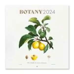 Calendario de pared 2024 Erik 30x30cm Botany