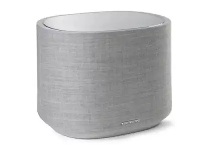 Subwoofer Bluetooth Harman Kardon Citation Sub Gris