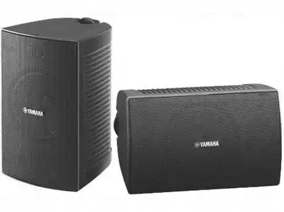 Altavoz para techo - Yamaha NS-AW294BL, 100W, Resistente al agua y sol, Negro