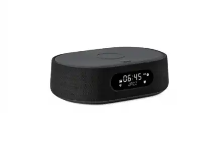 Altavoz Bluetooth Harman Kardon Citation Oasis Negro