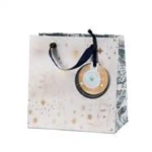 Bolsa de regalo Lunas, estrellas y hojas 20x20x11cm