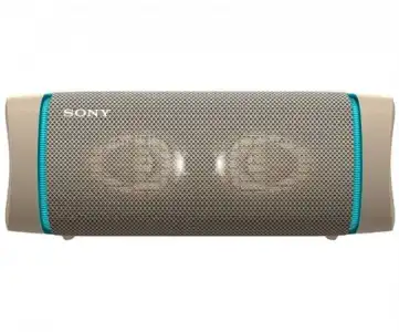 Altavoz Bluetooth Sony SRS-XB33C Gris