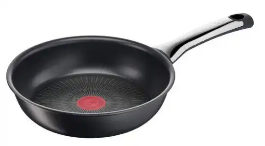 Sartén Tefal Excellence 24cm G2690432