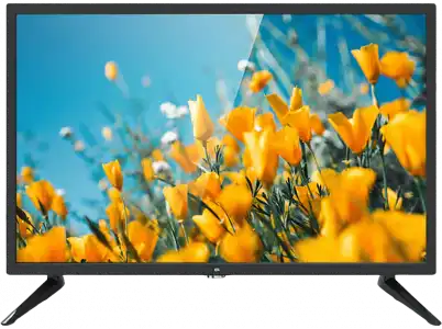 TV LED 24" - OK ODL 24676HN-TAB, HD+, LED, 16:9, 160 cd/m², DVB-C/T2/S2, HDMI, USB, VGA/D-Sub, 3000:1, Negro