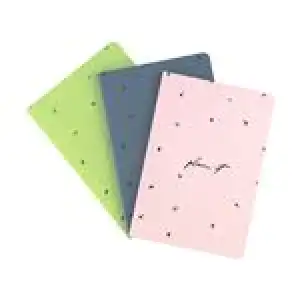 Set 3 cuadernos Takenote Journals Lovely M